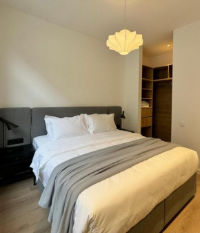 Modern king Apartment 102